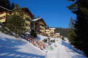 Vila Olympia - Apartmán Olympia 3